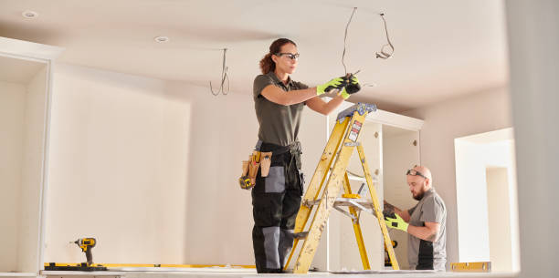 Best Electrical Upgrades for Homes  in Richmond, IL