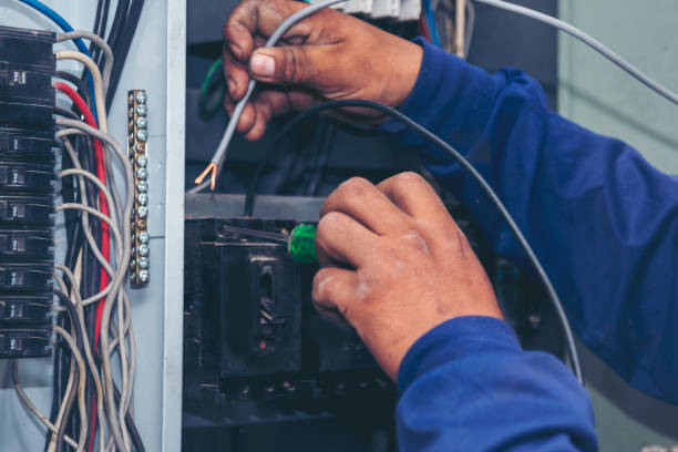 Best Residential Electrician Services  in Richmond, IL