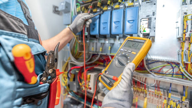 Best Electric Panel Repair  in Richmond, IL